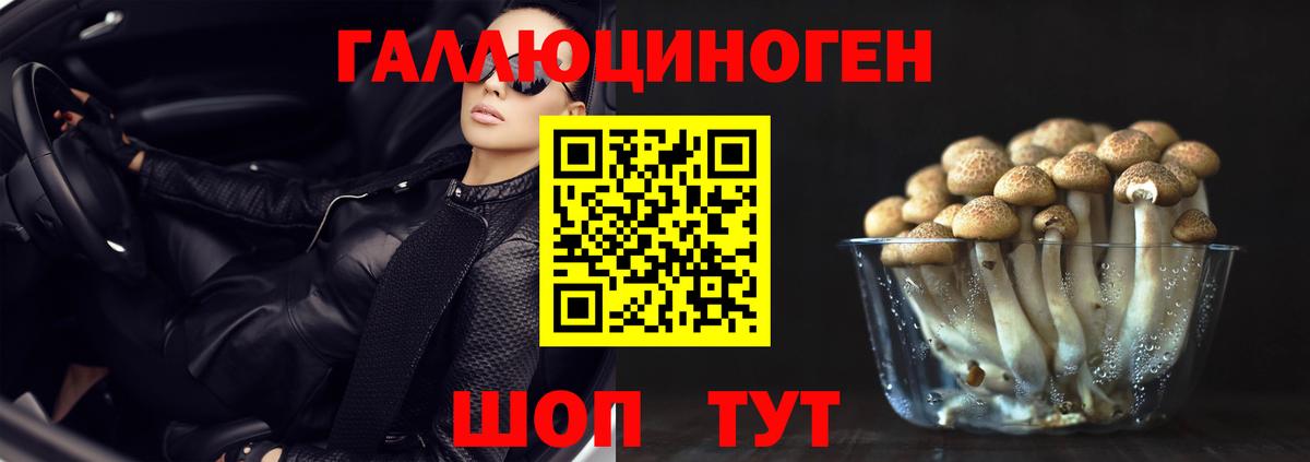 Псилоцибиновые грибы GOLDEN TEACHER  Галлюциногенные грибы Magic Shrooms  Богданович  Вход с VPN 
